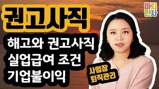 해고와 권고사직의 차이, 실업급여와의 관계