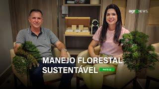 Plano de Manejo Florestal Sustentável na prática