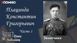 Плацинда Константин Григорьевич. Часть 1. Проект "Я помню" Артема Драбкина. Зенитчики.