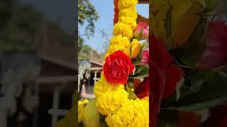 Beautiful Deities Thakur of Harinam Nagar Sankirtan Mayapur