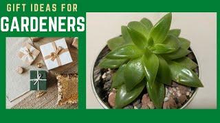 GIFT IDEAS FOR GARDENERS / PLANT LOVERS II JERSEY GARDENING