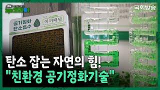 탄소 잡는 자연! 자연과 기술이 만나는 친환경 공기정화 기술의 모든 것️ | 기후는 기회다 탄소제로 코리아 | 국회방송