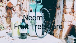 NEEM Oil Fruit Tree Care on a Homestead in Portugal