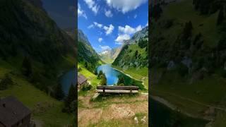 Switzerland: A Symphony of Nature ️ #switzerland #schweiz #swiss #nature #travel #shorts