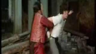 Jackie Chan vs Hwang Jang Lee - snake vs eagle