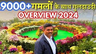 9000+ गमलों के साथ गुलदाउदी Overview || Ramvilas ji's Guldaudi Garden Overview 2024