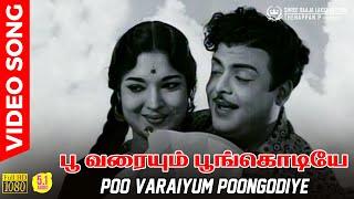 Poo Varaiyum Poongodiye Video Song | 5.1 Audio | Gemini Ganesan | Devika | P B Srinivas | MSV