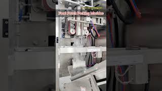 food packing machine, food pouch packing machine, pouch packing machine, vffs machine