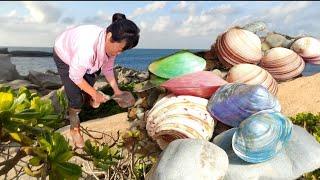 Undercurrents on the sea floor bring some precious shellfish to the shore. Pearl Shell