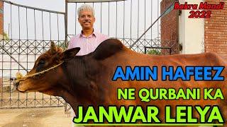 Amin Hafeez Purchasing Gaye for Eid-ul-Adha 2022 (Series 5/5) | Amin Hafeez