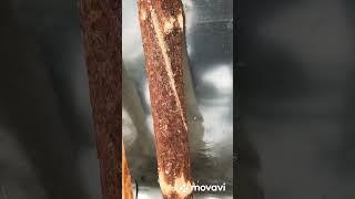 Хаусблок своими руками дёшево от Е. Бочёнкина.