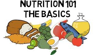 Basic Nutrition and Macro - Nutrients Video Animation by Train With Kane