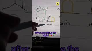 #Hajj #hajj2023 explained in 1 min . Be honest did you know this before ?! 