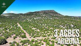 Beautiful 3-Acre Plot with Power & Shared Well | $52,999 | Vernon, AZ