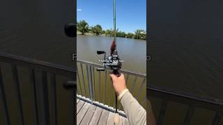Fishing is WAY too EXPENSIVE! #fishing #shorts