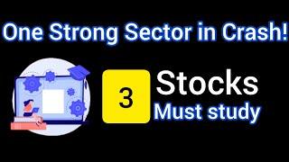 One Sector looking strong in Market Crash 