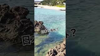 【日本？ハワイ？】透明な海は奄◯◯島でふ〜 #旅行 #奄美大島 #観光