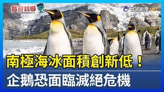 南極海冰面積創新低！企鵝恐面臨滅絕危機【發現科學】