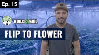 BuildASoil: FLIP TO FLOWER, ENVIRONMENT TALK, & FLIP MALES TO FLOWER (Season 4, Episode 15)