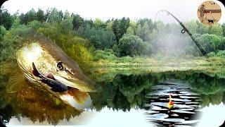 КАК ЛОВИТЬ ЩУКУ НА ПОПЛАВОК С БЕРЕГА,ТЕХНИКА ЛОВЛИ.fishing,bushcraft,nature,camping.