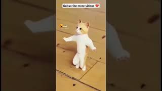 new video  funny video animals funny reaction  video #funny #comedy #youtubeshorts