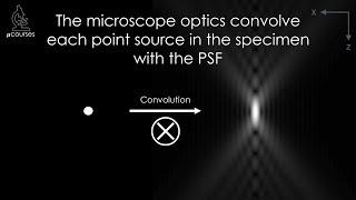 The Point Spread Function