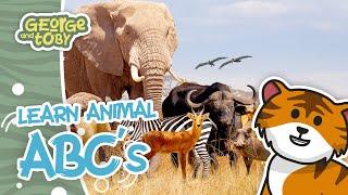 Animal ABCs | Learning ABCs for kids | Tashi the Tiger