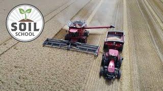 Soil School: What's the value of wheat straw?