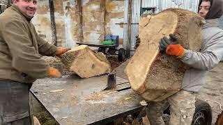 Amazing wood splitting mega oak wood 🪵🪵🪵🪓🪓🪓 Extreme woodworking techniques 