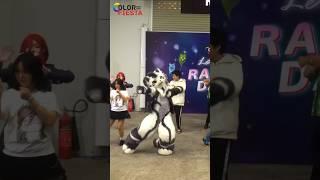 【Fursuit Dance】银碳Gintan - TWICE 'I CAN'T STOP ME'