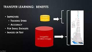 Accelerate AI Development with Transfer Learning - Anjali Shah & Steve Geringer