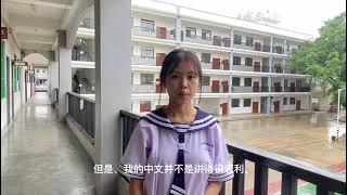 我学习中文的经验分享