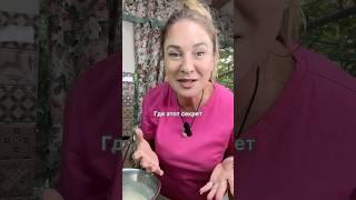 Библия говорит как стать счастливым! #кристинабогословцева #библиядляновеньких #божья #отношения