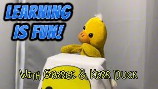 Learning Is Fun! Today’s lesson: Why it’s a bad idea to call your ex in the middle of the night!