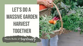 Let's Do a Massive Garden Harvest Together