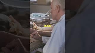 The Science Behind the Shroud of Turin