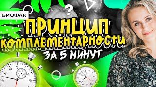 Принцип комплементарности