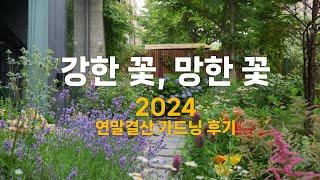 2024 강한 꽃, 망한 꽃 | 연말결산 가드닝 후기