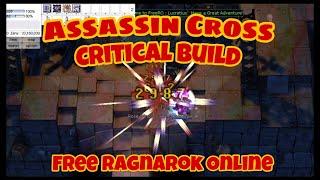 Guide to Build Assassin Cross Critical | FreeRO