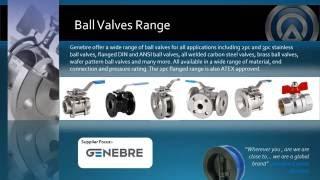 Allvalves 2016 Genebre Video