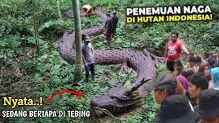 NYATA Ketemu Ular Naga Antaboga Milik Angling Darma Penjaga Goa Misterius Di Pedalaman Hutan