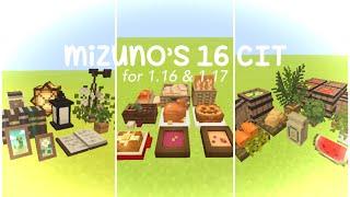  mizuno’s 16 CIT for mcpe/be 1.20 || how to use + full catalog