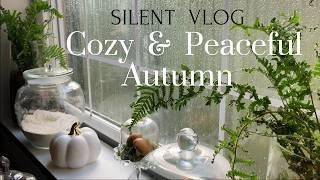 A Cozy Rainy Day at Home  Cottage Garden in October  Autumn Project  Simple Life ASMR  Rain ASMR