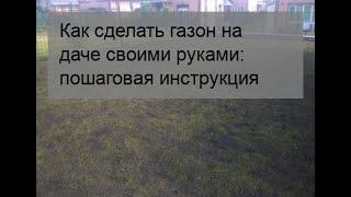 Как сделать газон на даче своими руками: пошаговая инструкция
