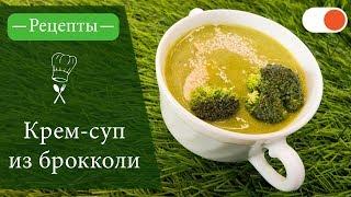 Крем-суп из Брокколи - Простые рецепты вкусных блюд