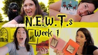 Reading while drunk | NEWTs readathon week 1 (and a half) | Drinking By My Shelf