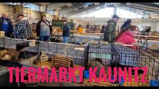 Hobby- und Tiermarkt Kaunitz am 02.11. 2024