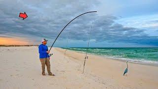 When the Surf Fishing Bite TURNS ON! (Multiple Species)