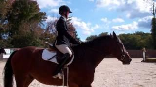 Cary Hundley & Sailor - Open Flat - Goucher IHSA - October 17, 2015