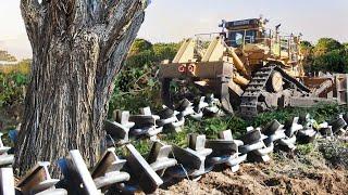 Clearing Wooded Land with Anchor Chain and Bulldozer